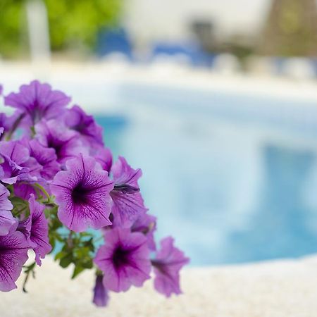 La Crisalida Retreats Διαμέρισμα El Albir Εξωτερικό φωτογραφία