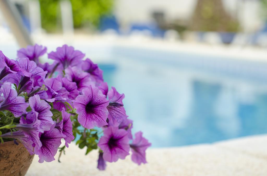 La Crisalida Retreats Διαμέρισμα El Albir Εξωτερικό φωτογραφία